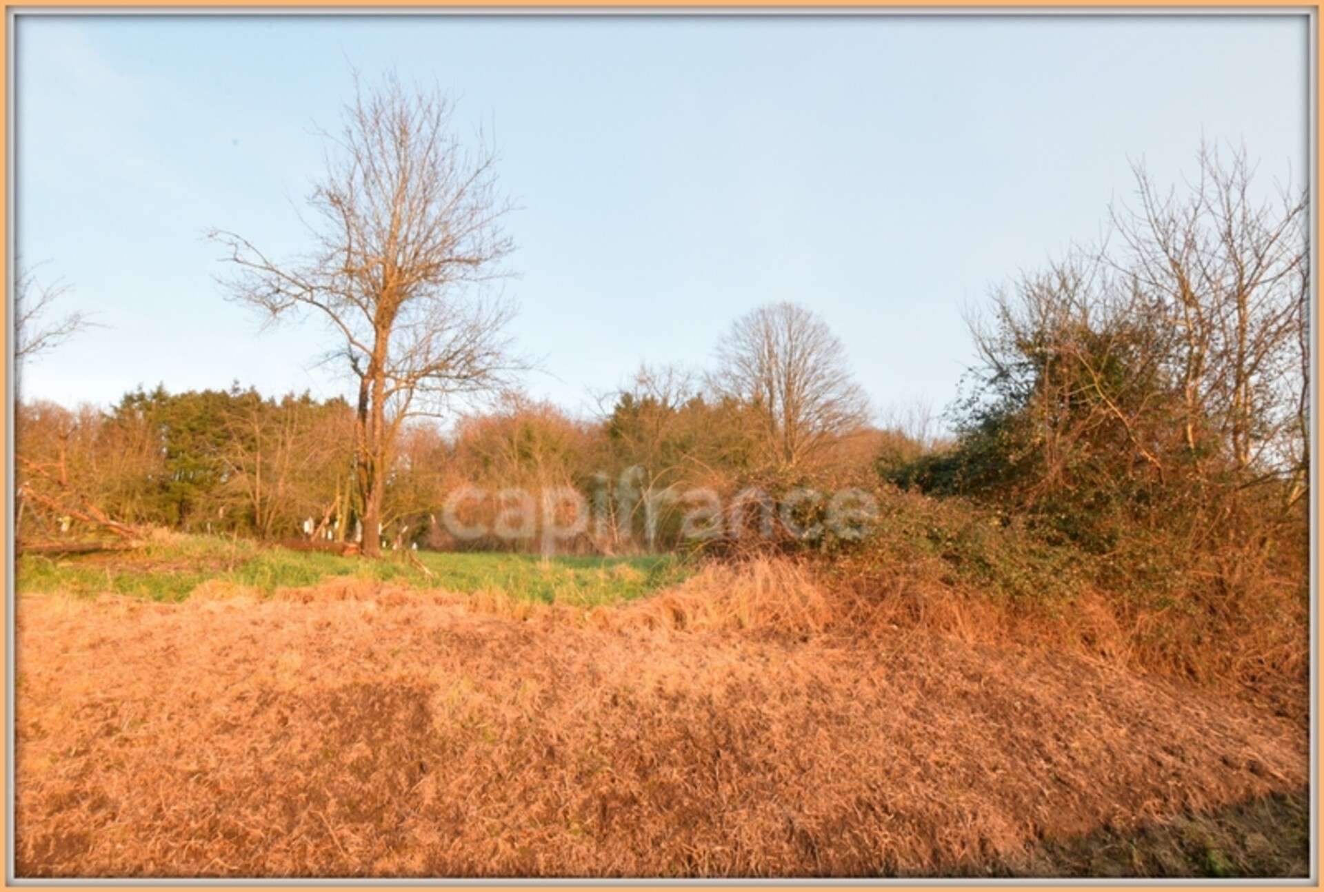 Photos 7 - Land - Dpt Ardennes (08), à vendre VANDY terrain