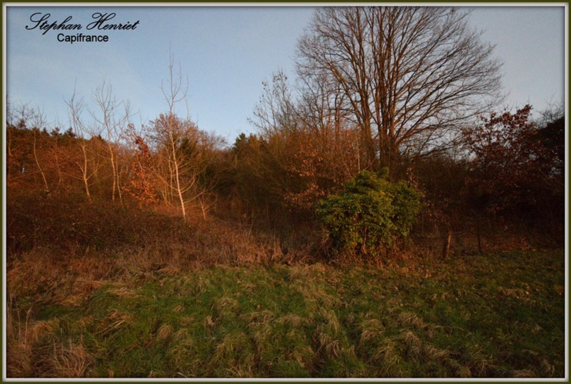 Photos 8 - Land - Dpt Ardennes (08), à vendre VANDY terrain