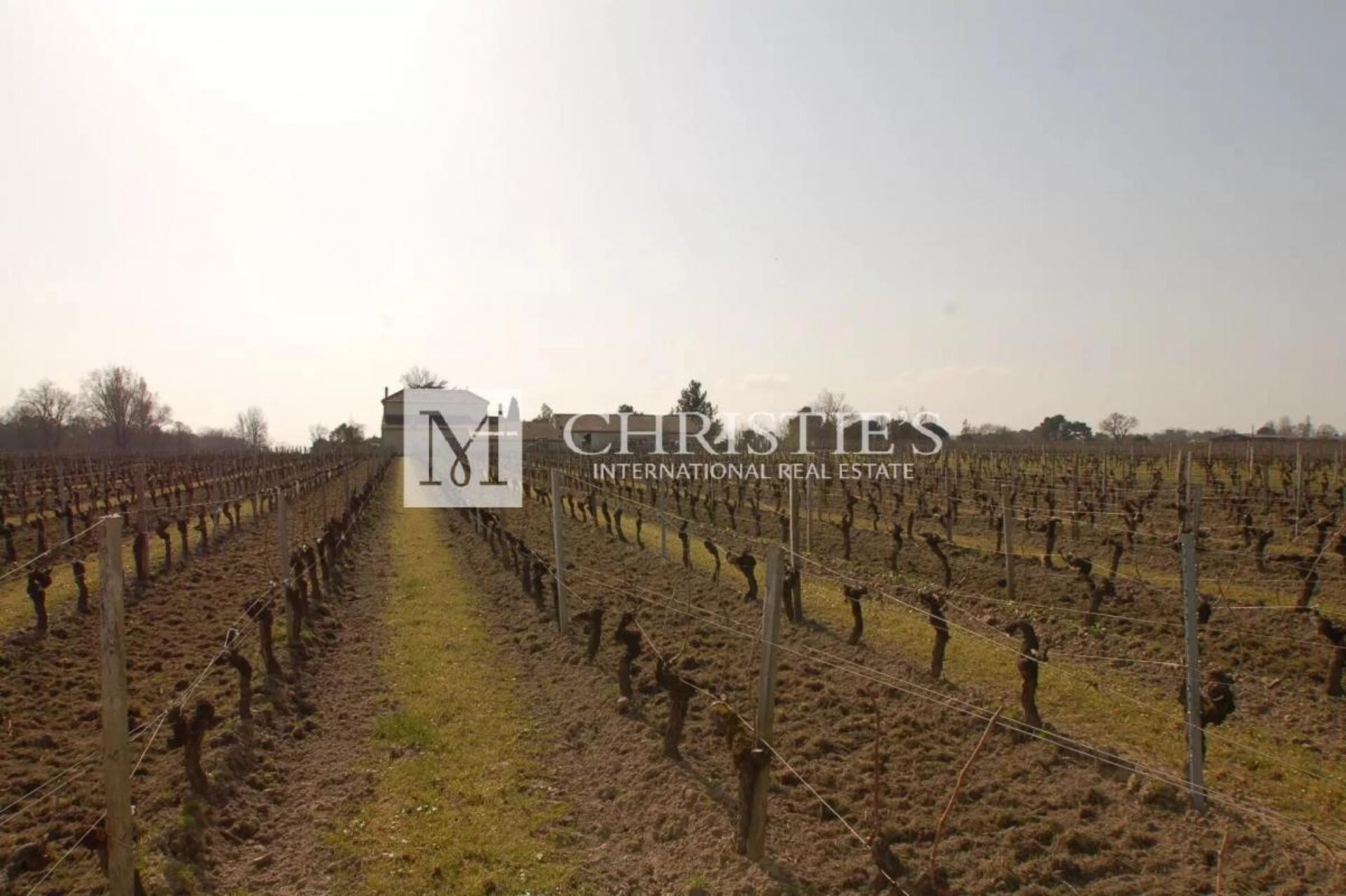 Photos 9 - Prestigious - Lovely vineyard estate for sale set up on 11 ha with 3 ha of vine.