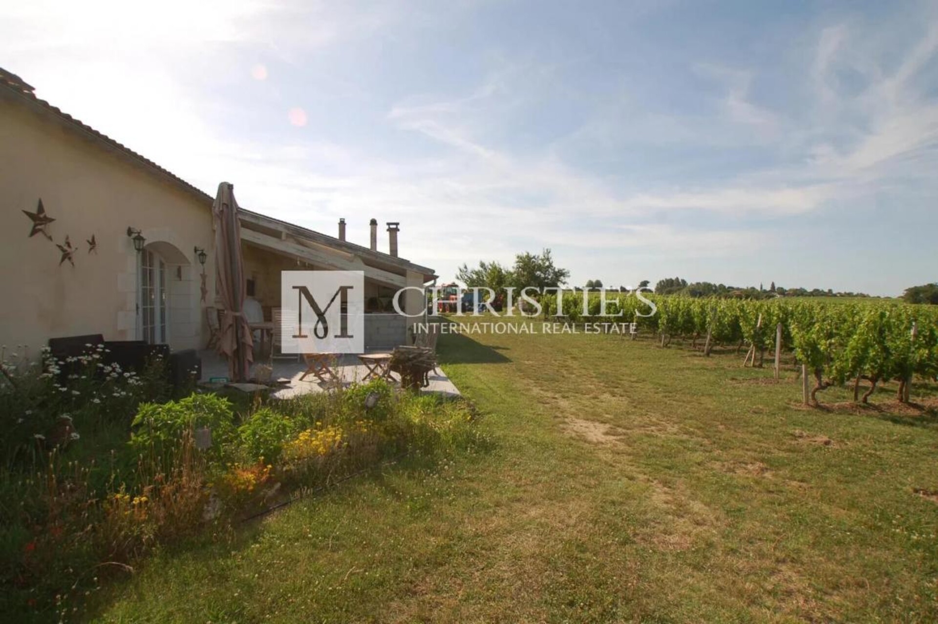 Photos 18 - Prestigious - Lovely vineyard estate for sale set up on 11 ha with 3 ha of vine.