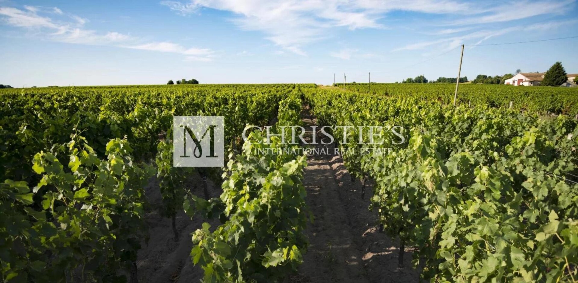 Photos 1 - Vineyard - Very well-located Bordeaux vineyard estate