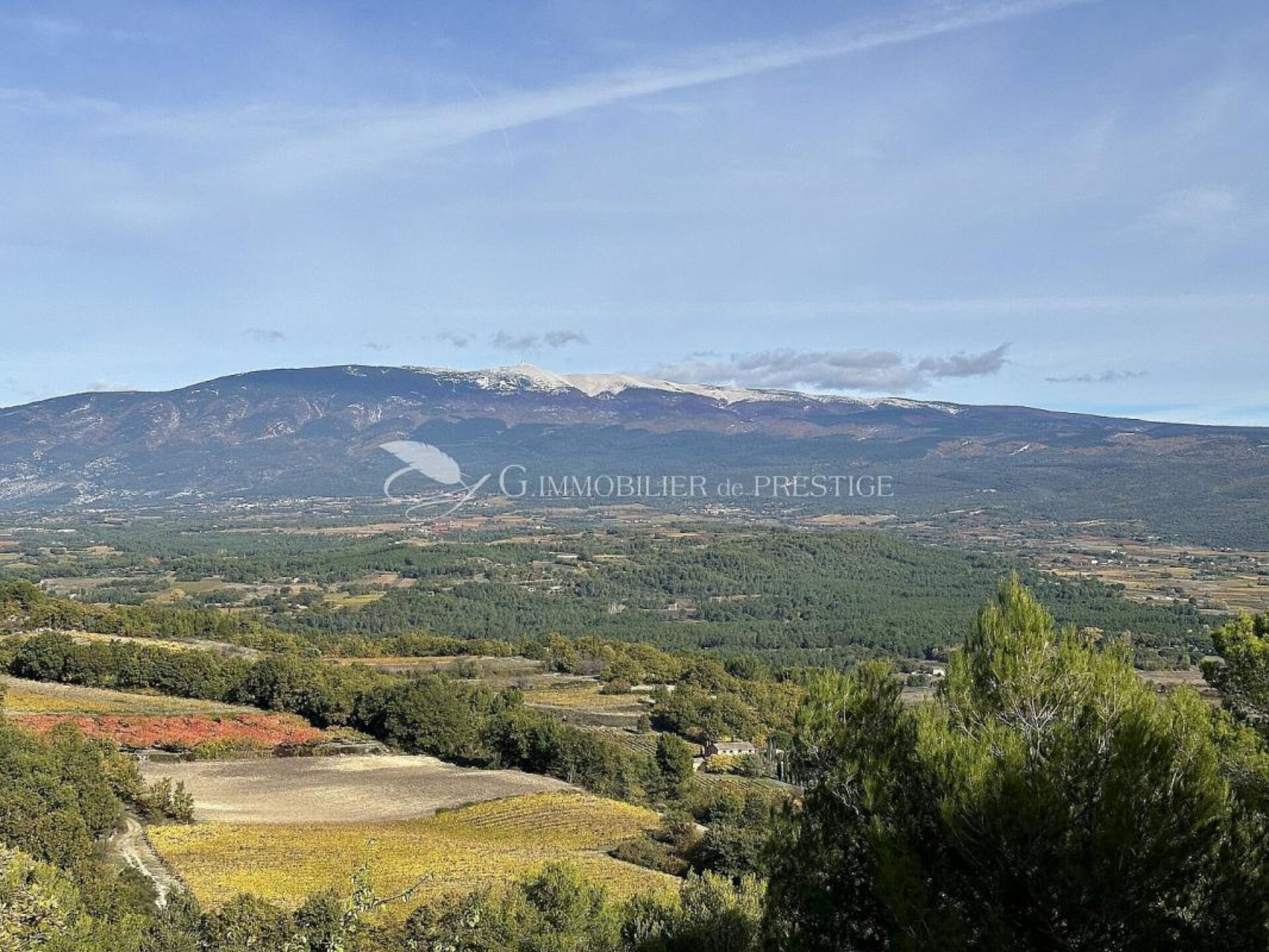 Photos 1 - Prestige - Au coeur du Ventoux, un domaine exceptionnel