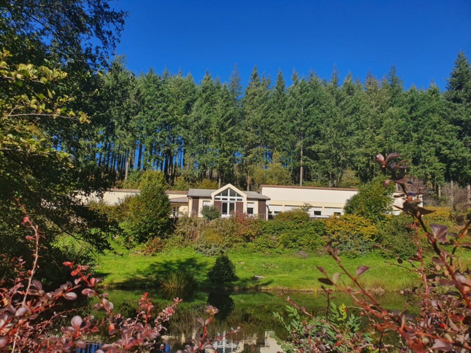 Photos 3 - Touristique - Dpt Vosges (88), à vendre proche REMIREMONT - DOMAINE PLAIN-PIED idéal GITE DE GROUPE avec ETANG