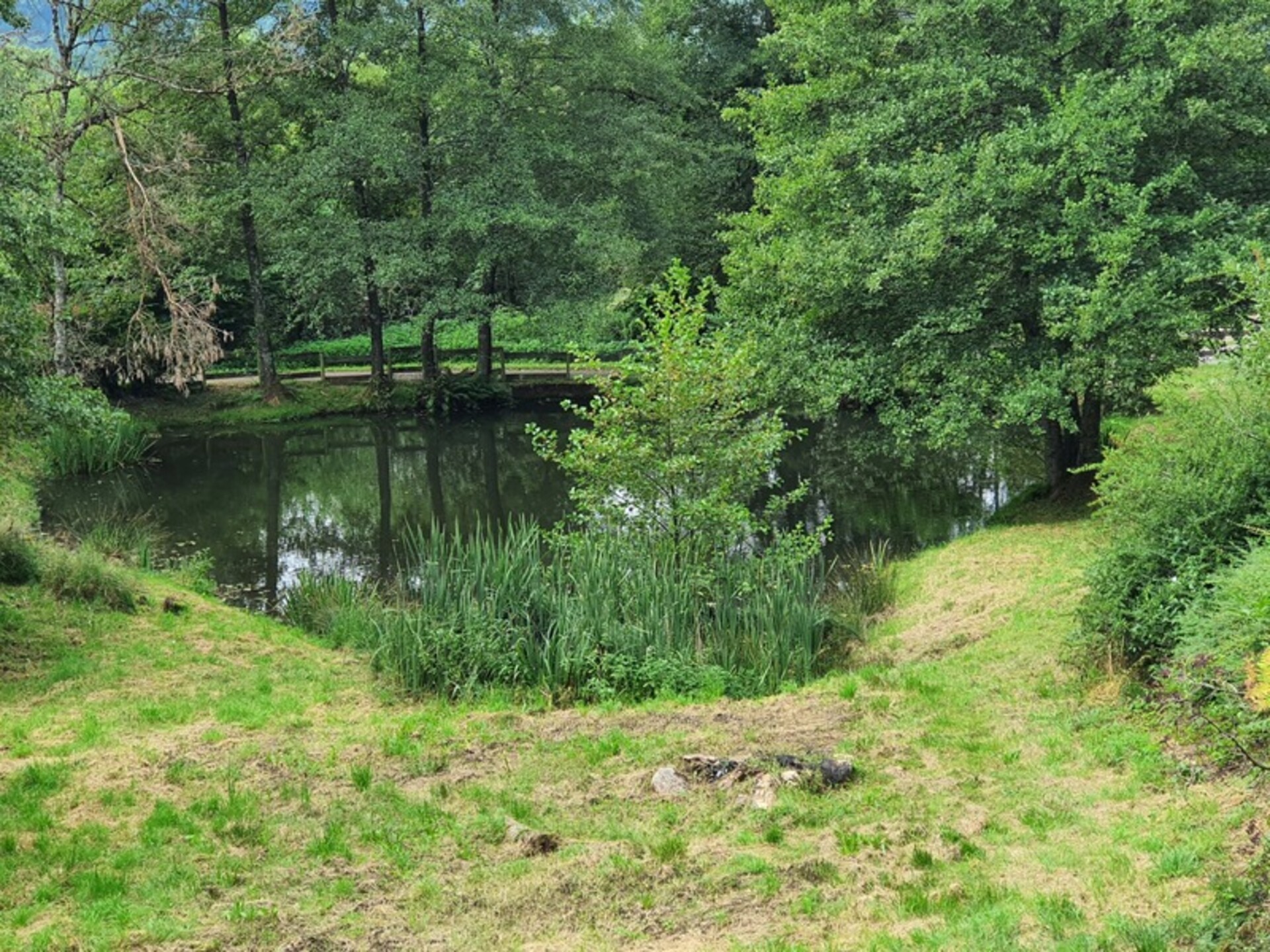 Photos 5 - Touristique - Dpt Vosges (88), à vendre proche REMIREMONT - DOMAINE PLAIN-PIED idéal GITE DE GROUPE avec ETANG