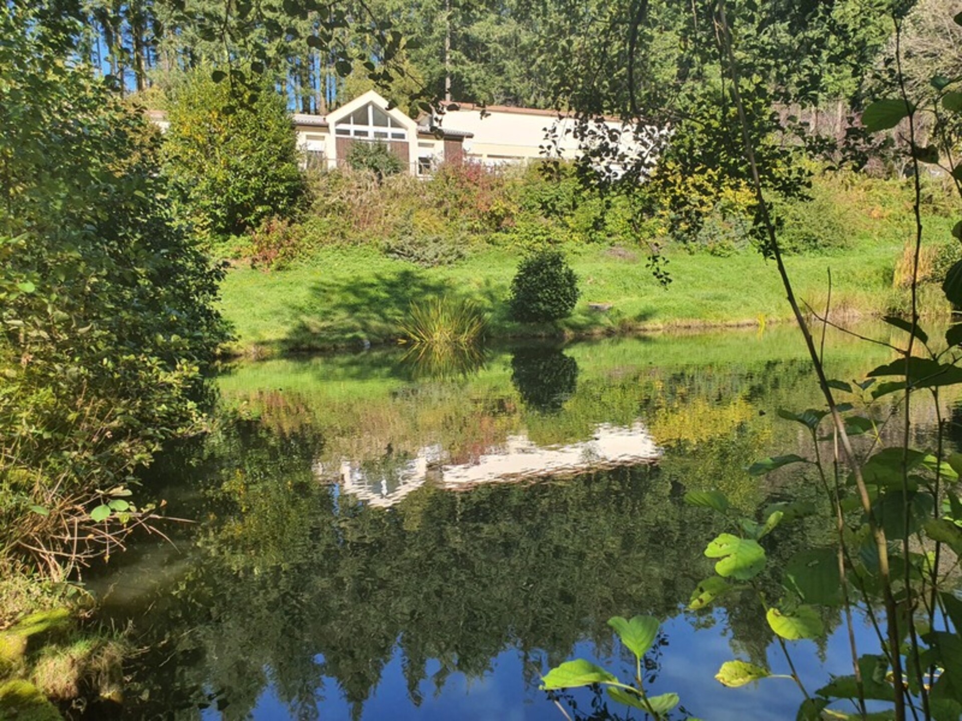 Photos 43 - Touristique - Dpt Vosges (88), à vendre proche REMIREMONT - DOMAINE PLAIN-PIED idéal GITE DE GROUPE avec ETANG