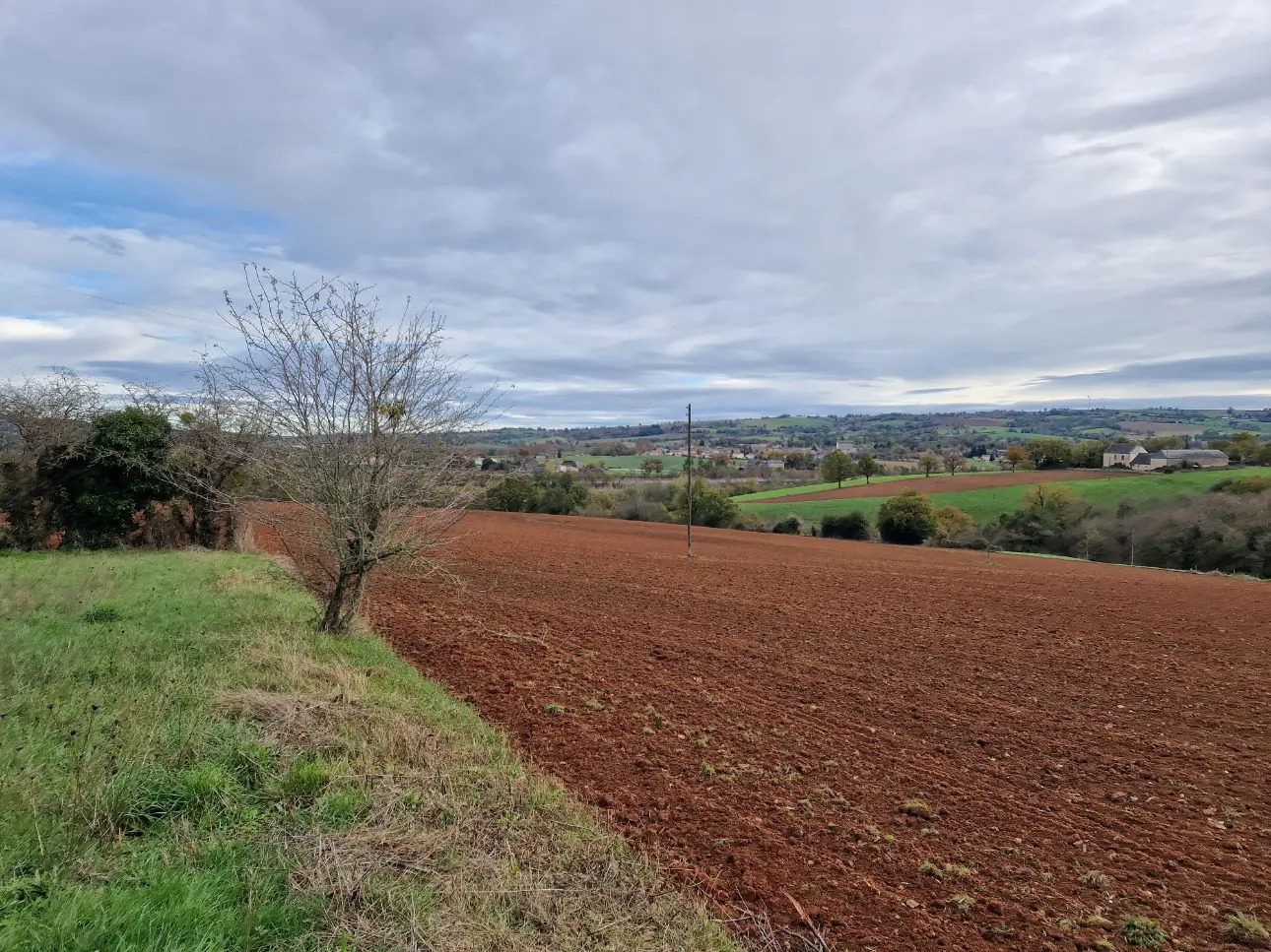 Photos 10 - Agricole - Propriété agricole - Secteur TANUS (81)