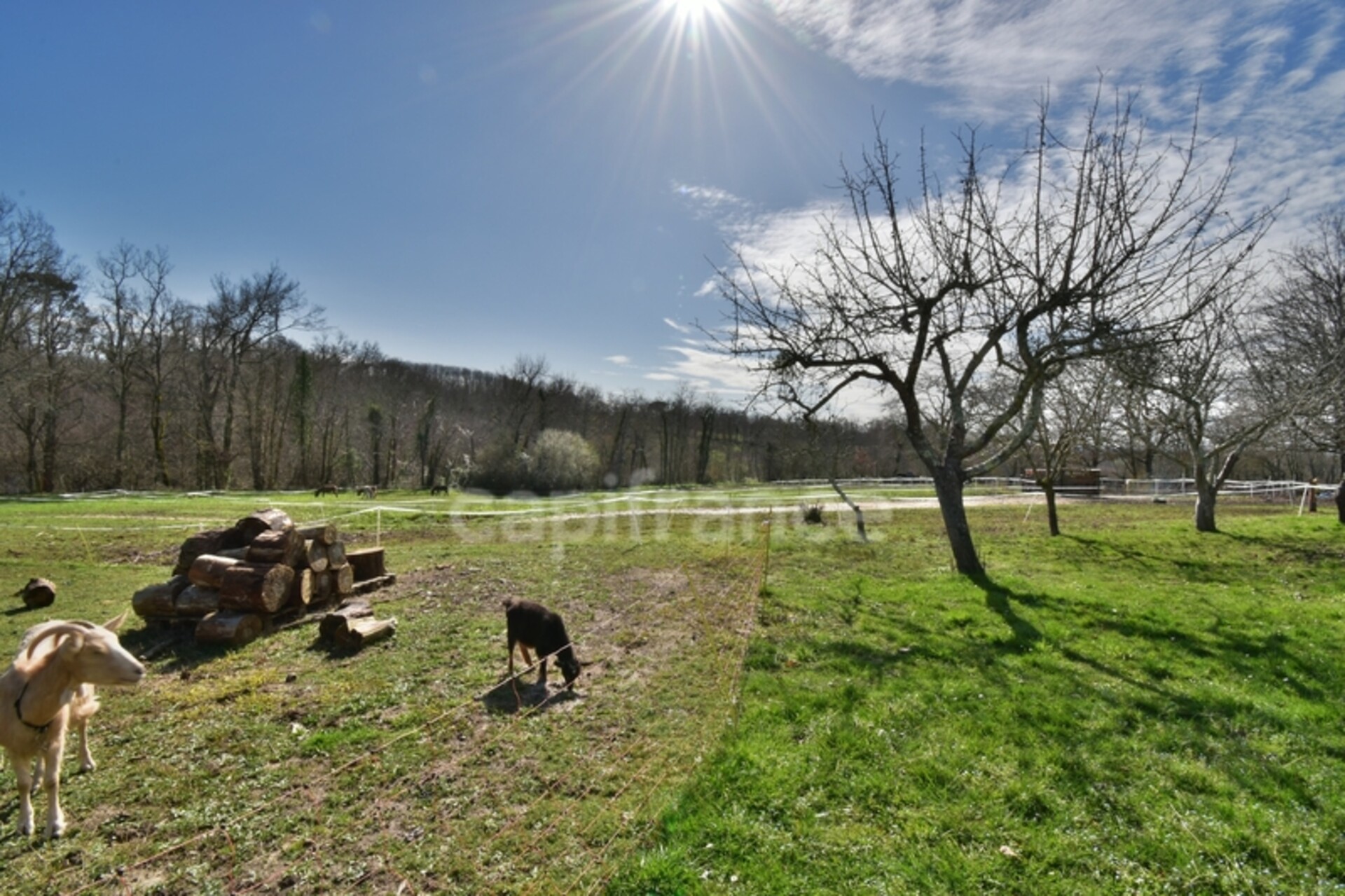 Photos 41 - Touristique - Dpt Gers (32), à vendre proche de NOGARO propriete 5 pièces de 200 m² - Terrain de 17498,00 m²