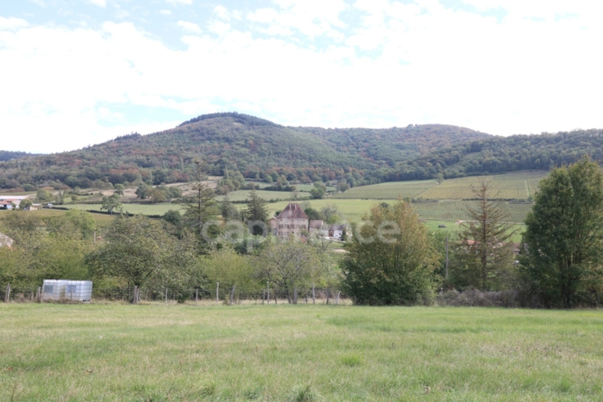 Photos 18 - Tourist - Dpt Saône et Loire (71), à vendre BLANOT propriété P3 terrain 10 000 m²