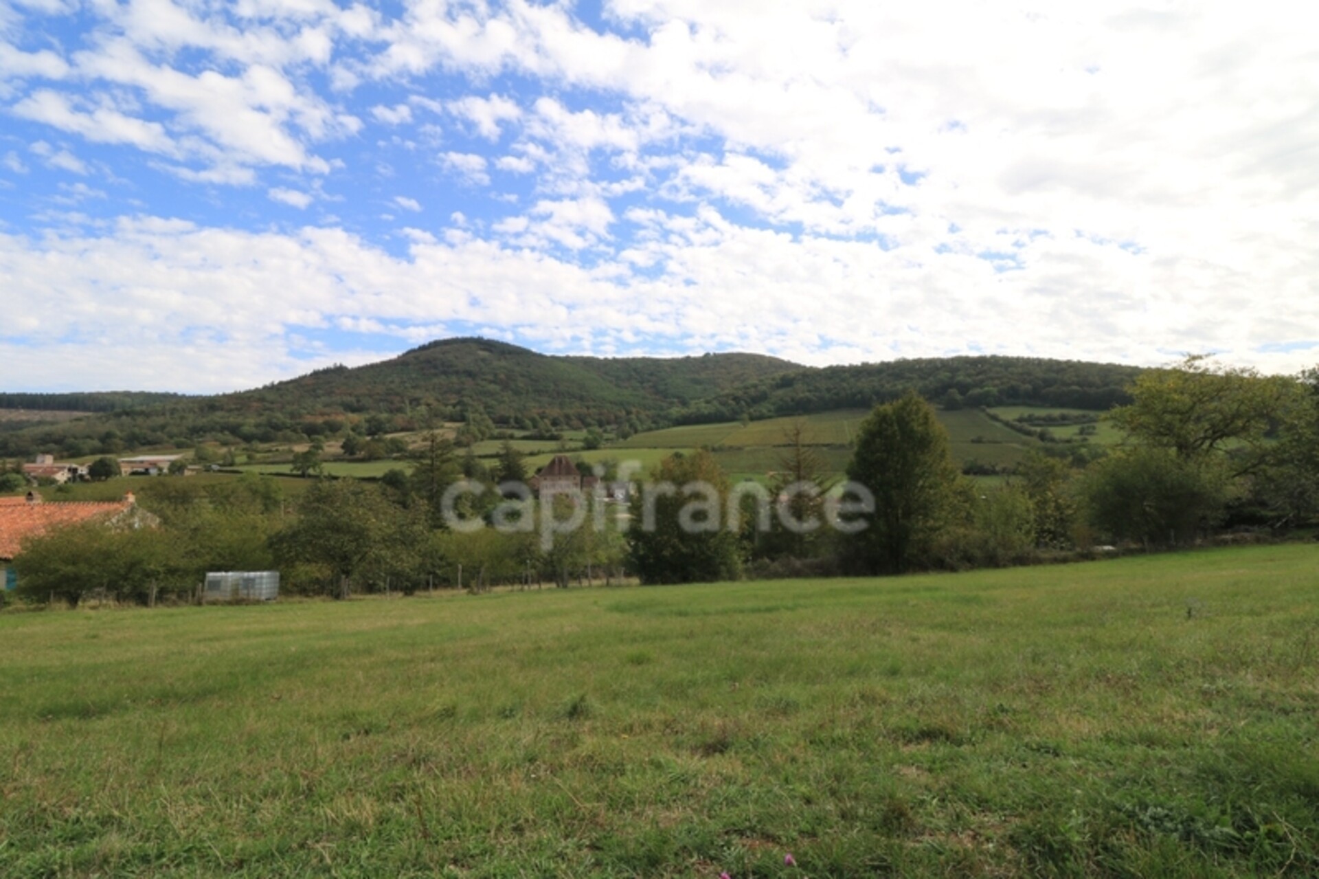 Photos 16 - Tourist - Dpt Saône et Loire (71), à vendre BLANOT propriété P3 terrain 10 000 m²