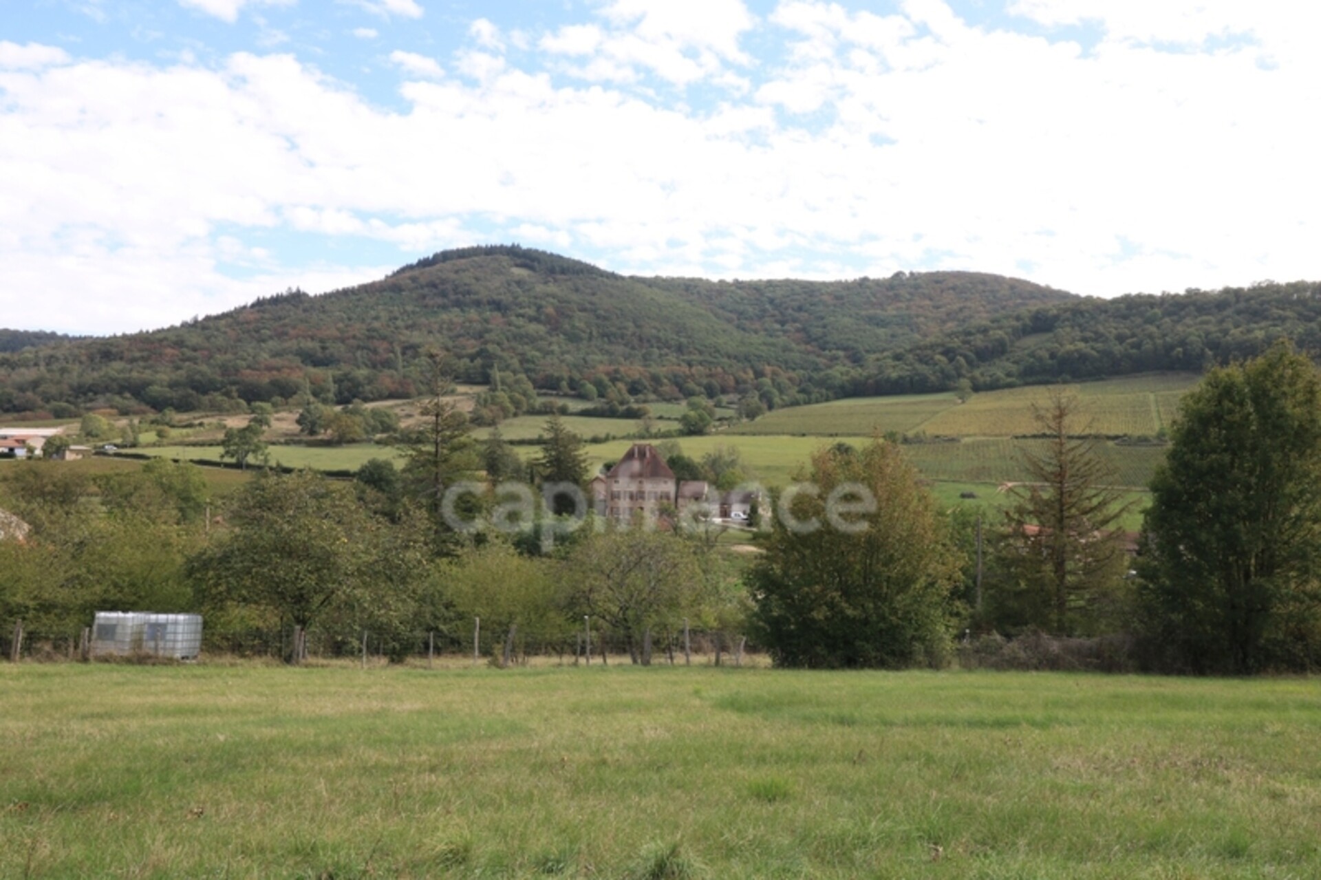 Photos 17 - Tourist - Dpt Saône et Loire (71), à vendre BLANOT propriété P3 terrain 10 000 m²