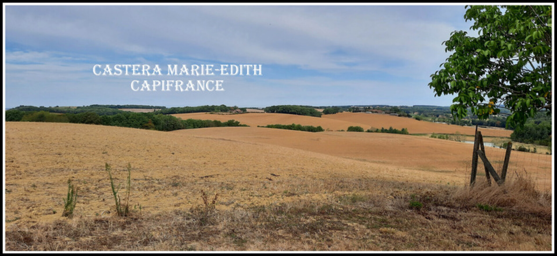 Photos 20 - Tourist - Dpt Gers (32), ferme 4 HECTARES à vendre à 15 minutes d'AUCH