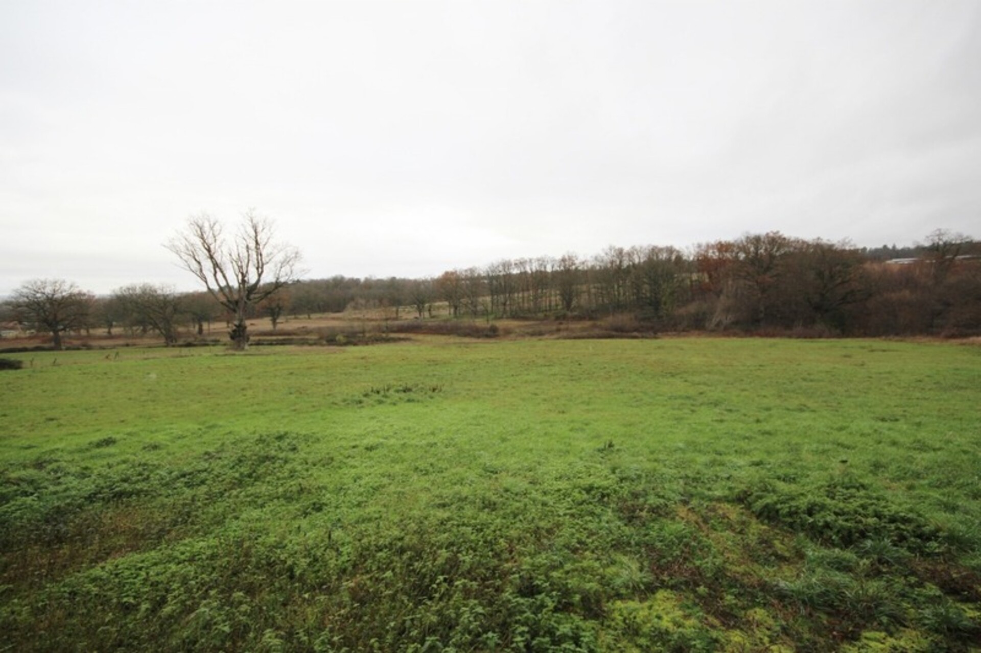 Photos 7 - Tourist - Dpt Allier (03), for sale VALLON EN SULLY property P1 of 300 m² - Land of 24,947.00 m²