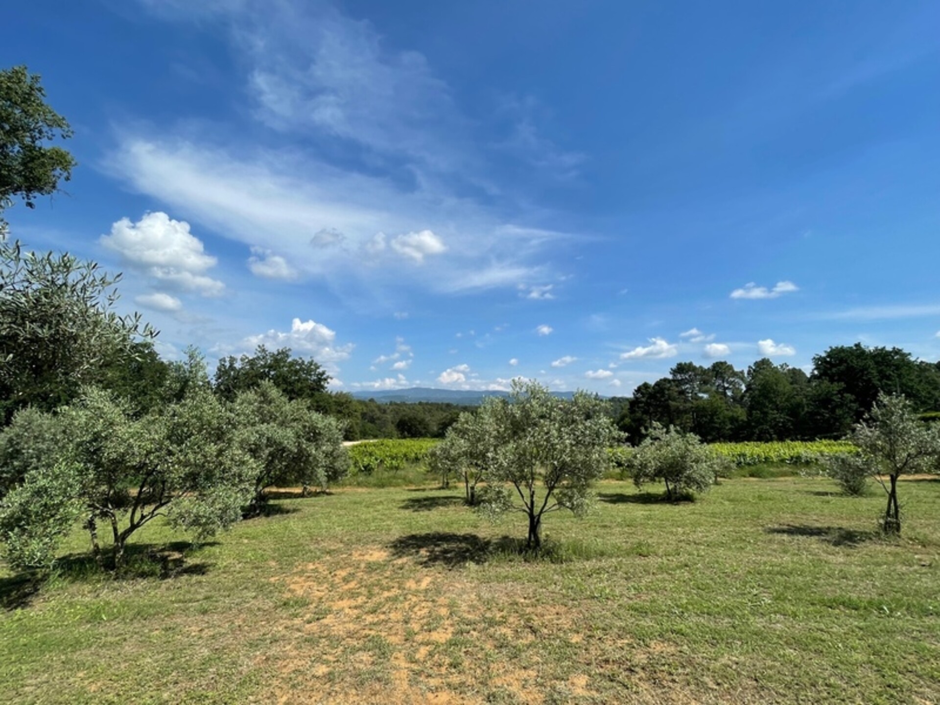 Photos 30 - Prestigious - Dpt Vaucluse (84), for sale ROUSSILLON property P10 of 300 m² - Land of 6,500.00 m²