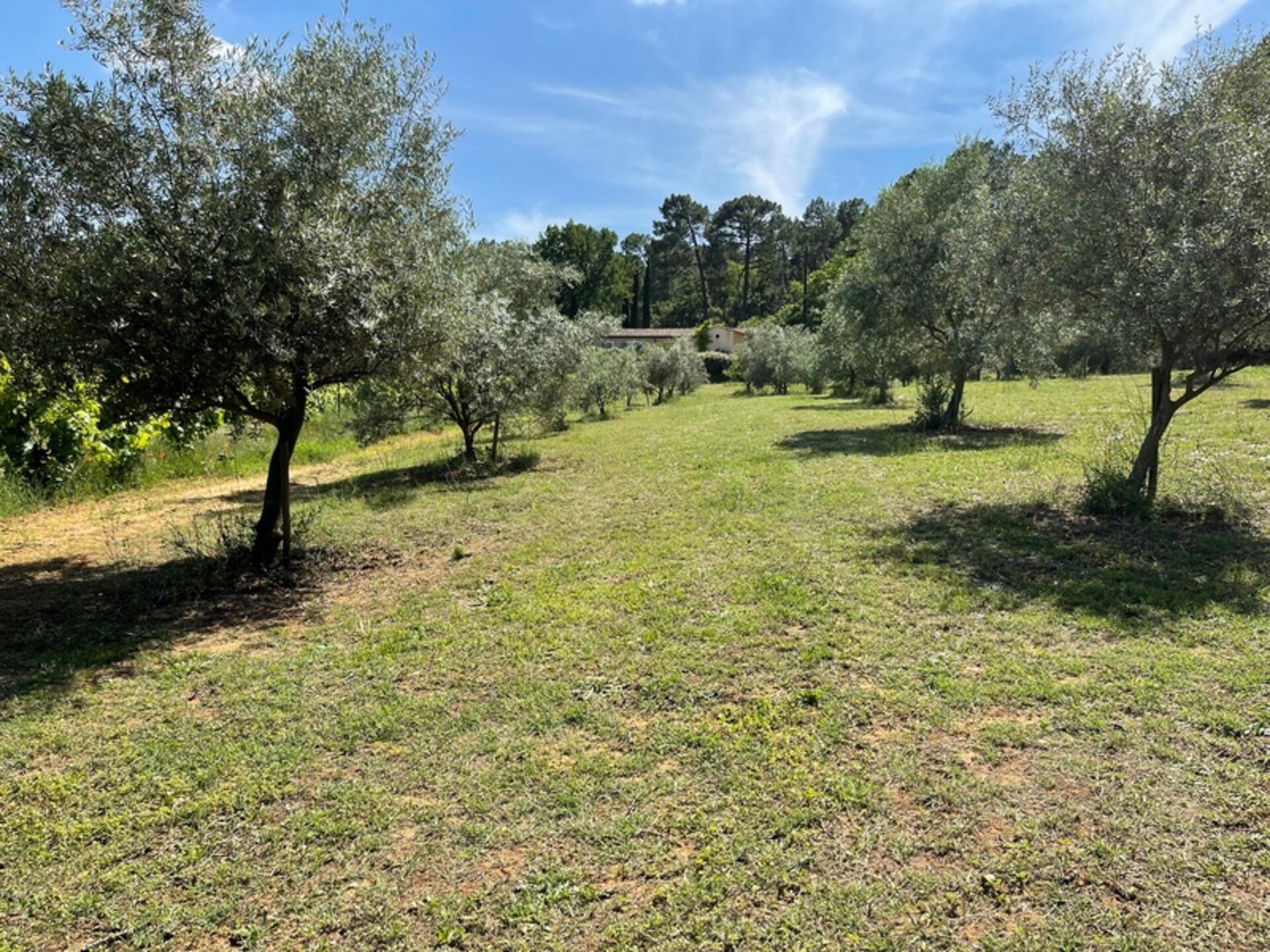 Photos 32 - Prestigious - Dpt Vaucluse (84), for sale ROUSSILLON property P10 of 300 m² - Land of 6,500.00 m²