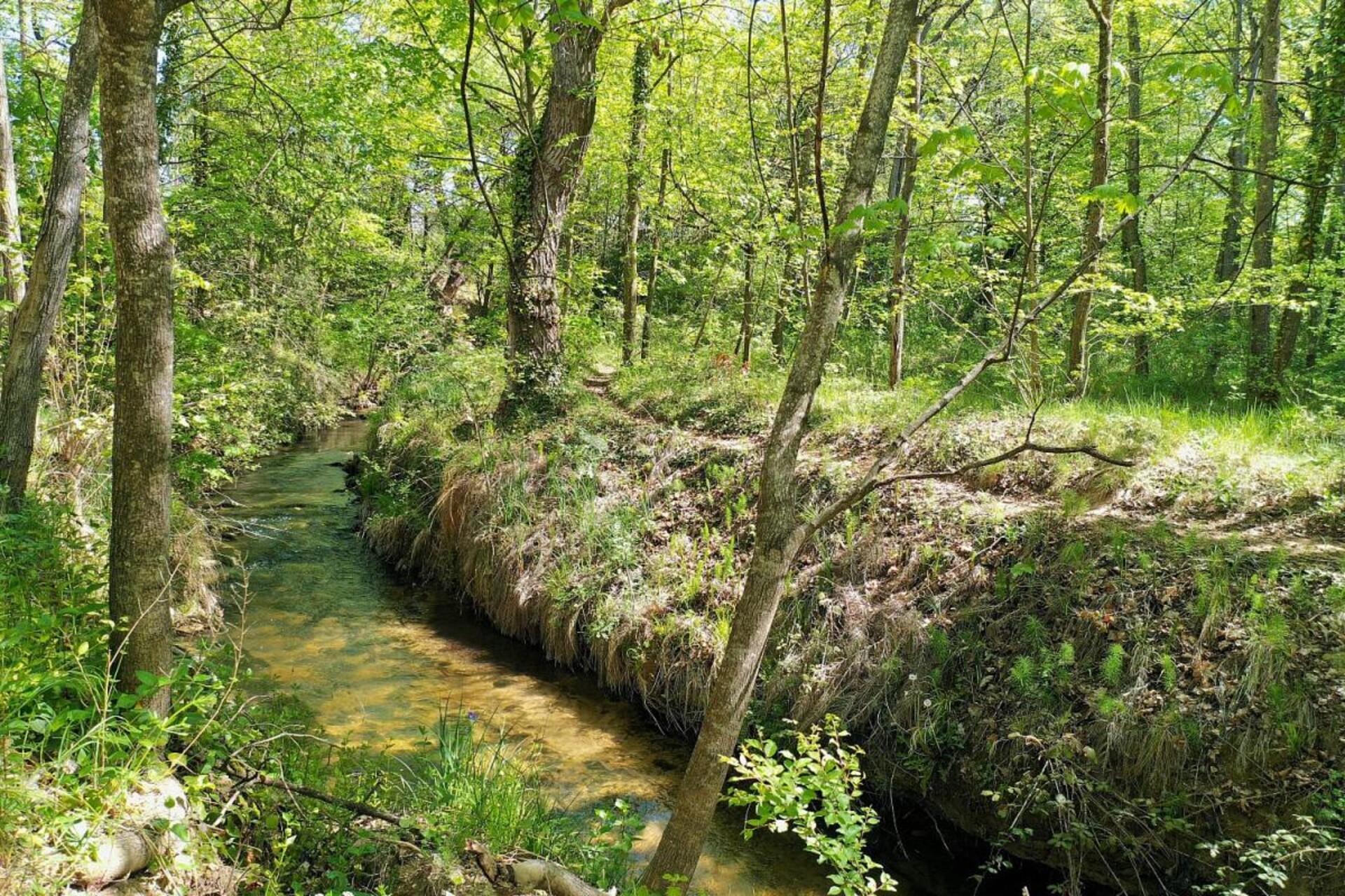 Photos 4 - Prestigious - A Carpentras, une demeure de maître en bord de rivière