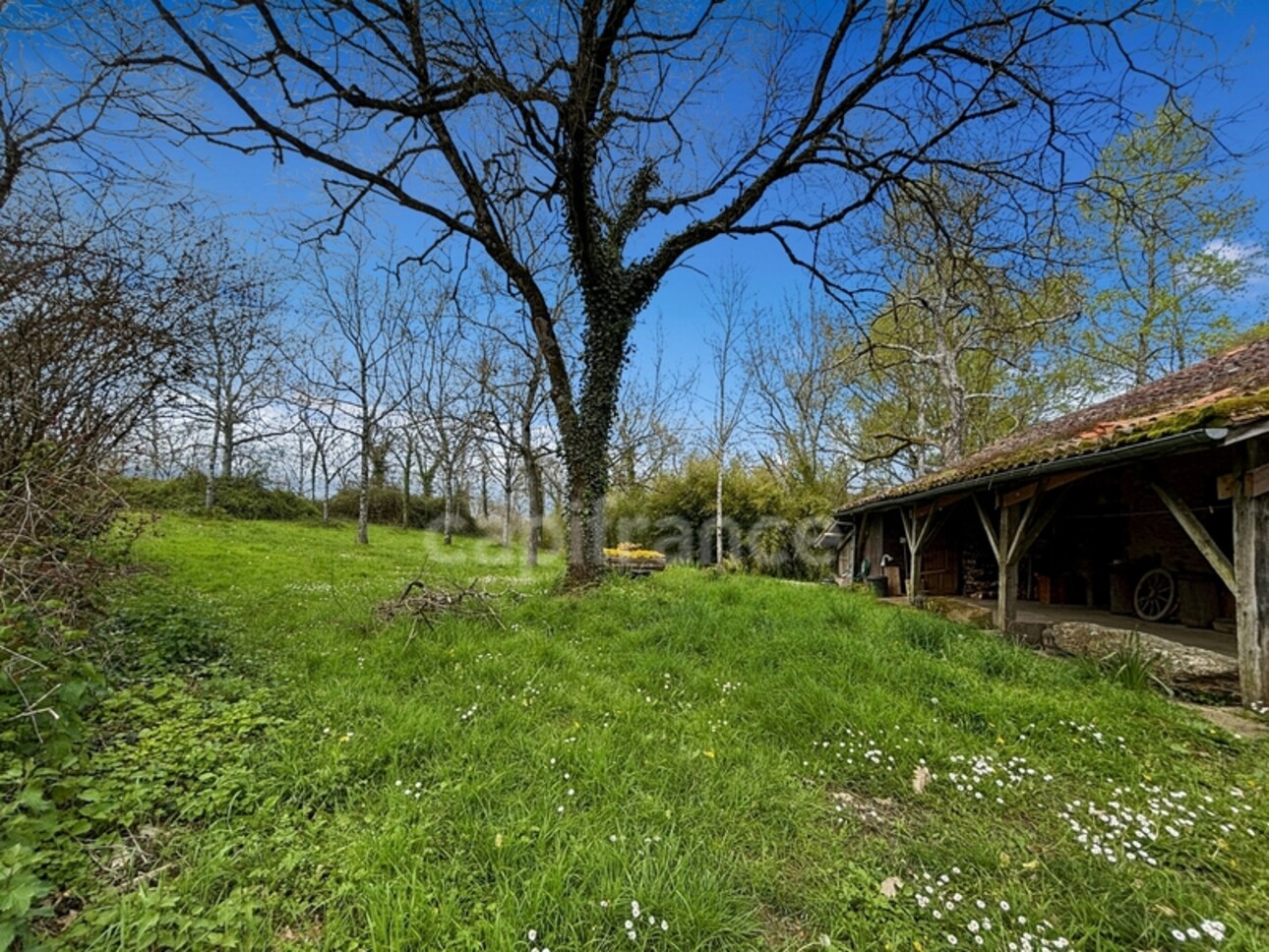 Photos 16 - Touristique - Dpt Gers (32), à vendre PANJAS propriété 9 pièces de 213 m2 habitables sur 43 517 m2 de terrain arboré