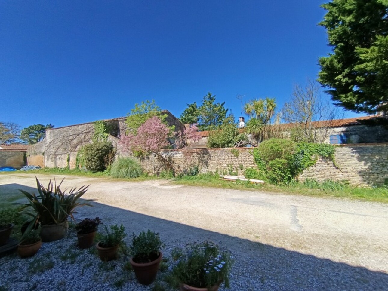 Photos 10 - Prestigious - Corp de ferme à vendre SAINT GEORGES D'OLERON, Dpt Charente Maritime (17