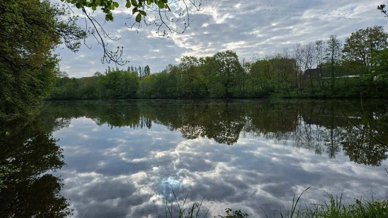 Photos 5 - Touristique - Maison à rénover avec son étang sur près de 5ha