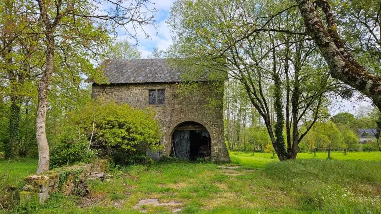 Photos 10 - Tourist - Maison à rénover avec son étang sur près de 5ha