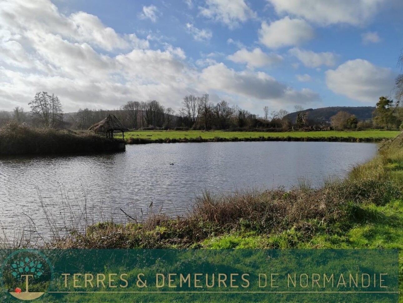 Photos 2 - Foncière - Terrain agricole