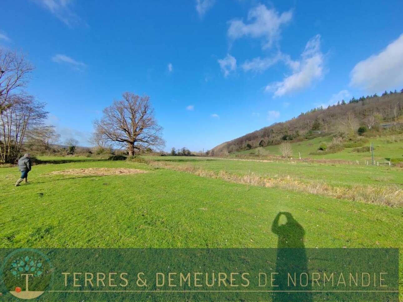 Photos 5 - Foncière - Terrain agricole