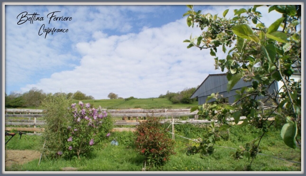 Photos 2 - Equestrian - Property with 4ha of land