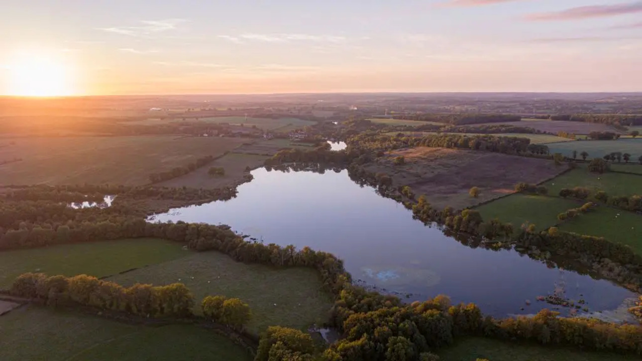 Photos 1 - Forestière - PROPRIETE , ETANG ,LAC , PISCICULTURE , PECHE , CHASSE