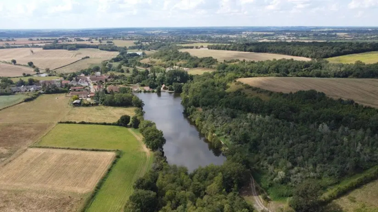 Photos 3 - Forestière - PROPRIETE , ETANG ,LAC , PISCICULTURE , PECHE , CHASSE