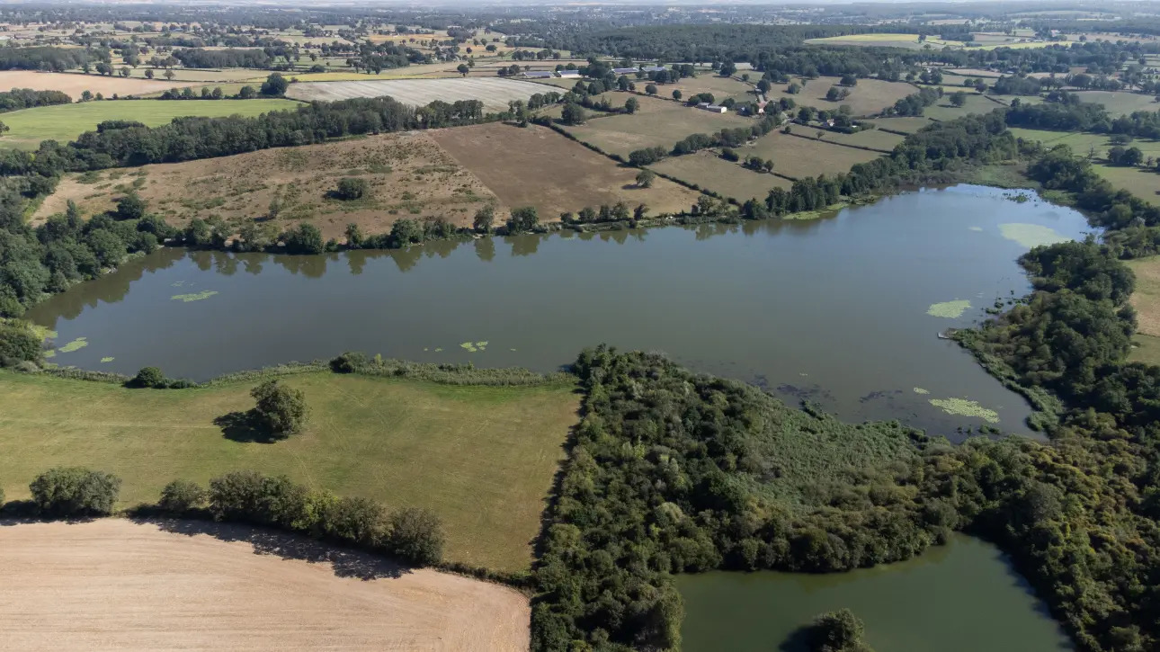 Photos 11 - Forestière - PROPRIETE , ETANG ,LAC , PISCICULTURE , PECHE , CHASSE