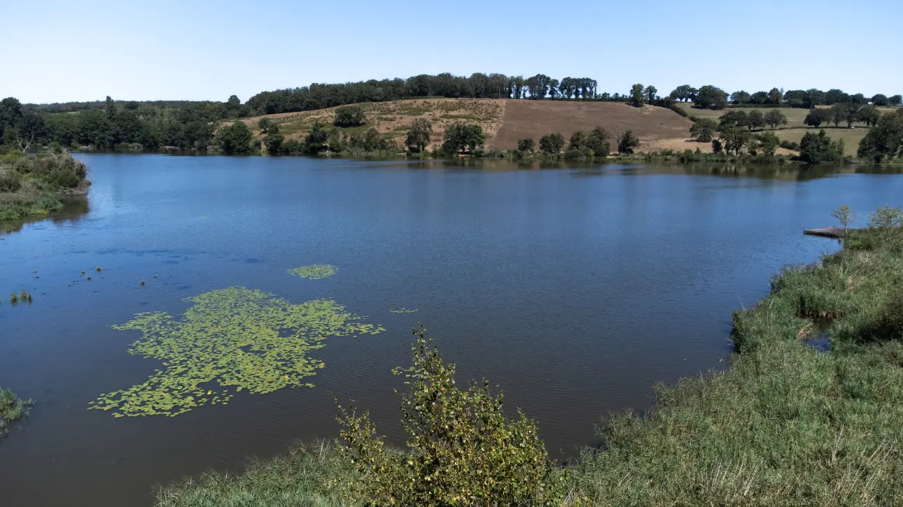 Photos 15 - Forestière - PROPRIETE , ETANG ,LAC , PISCICULTURE , PECHE , CHASSE