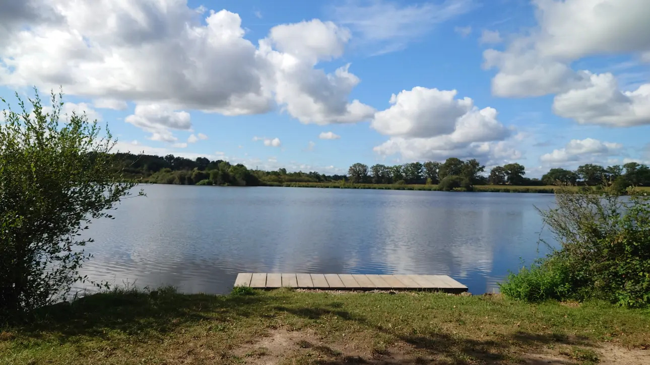 Photos 18 - Forestière - PROPRIETE , ETANG ,LAC , PISCICULTURE , PECHE , CHASSE