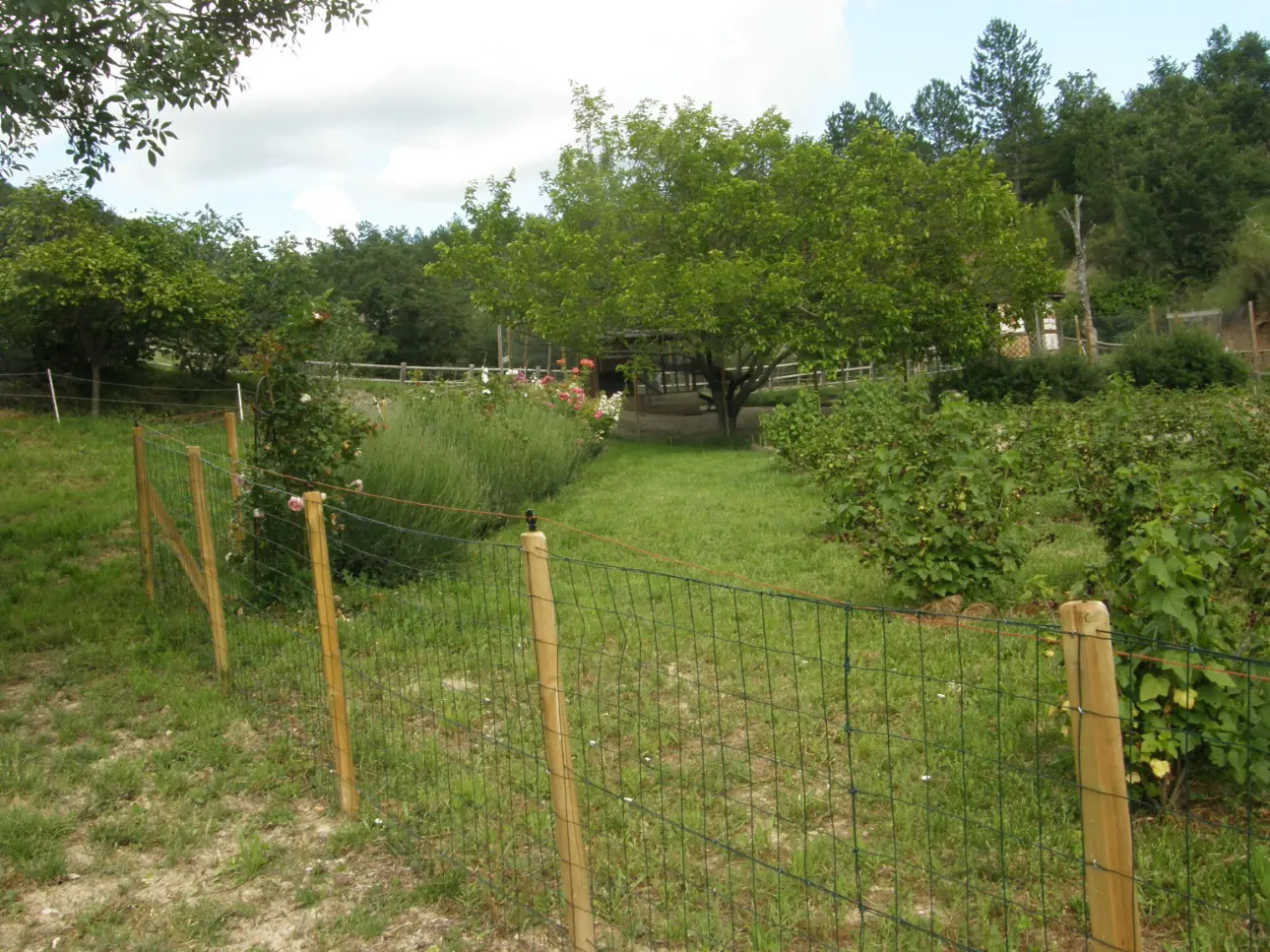 Photos 17 - Agricultural - In Haute Provence, a farm inn and leisure