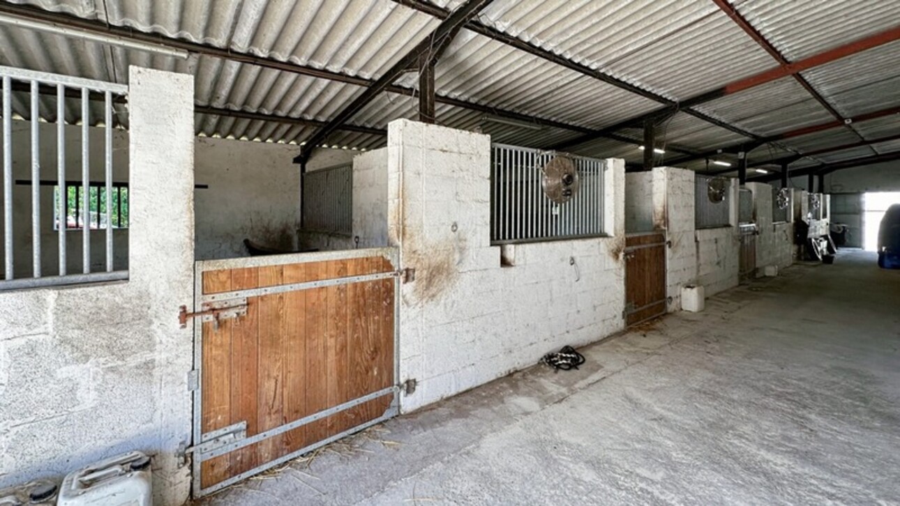 Photos 33 - Equestrian - Dpt Dordogne (24), for sale BERGERAC property P7 - land of 87,000 m2