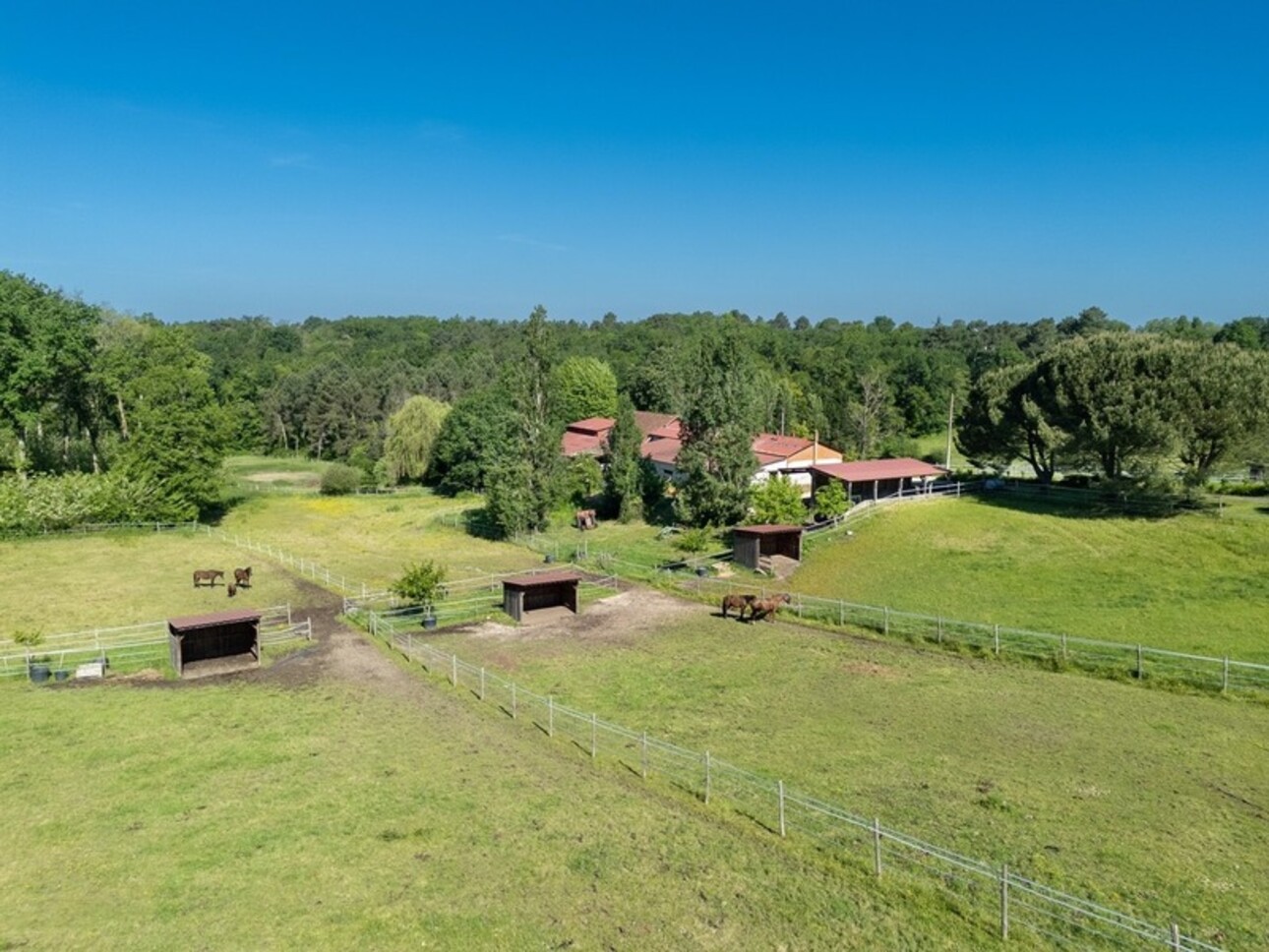 Photos 36 - Equestrian - Dpt Dordogne (24), for sale BERGERAC property P7 - land of 87,000 m2