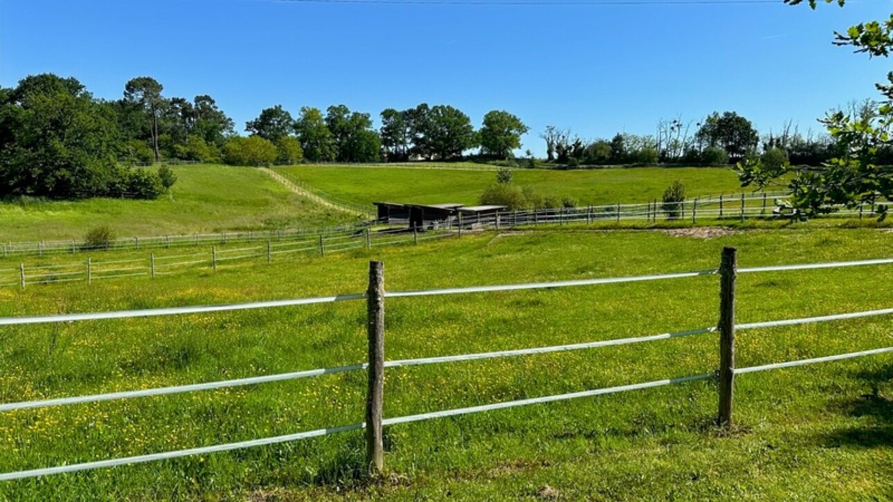 Photos 38 - Equestrian - Dpt Dordogne (24), for sale BERGERAC property P7 - land of 87,000 m2