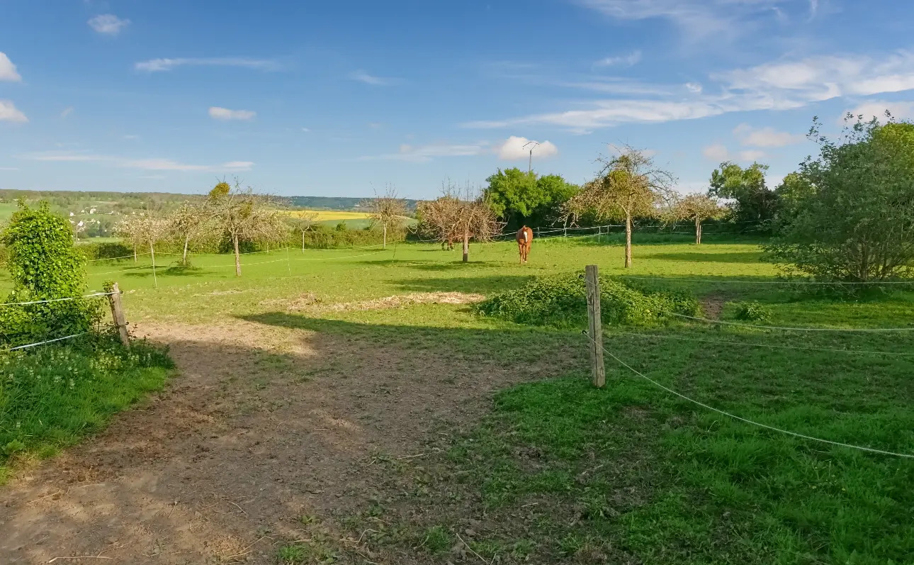 Photos 5 - Equestrian - Ancien corps de ferme idéal sur 4.95ha pour activité touristique et-ou équestre.