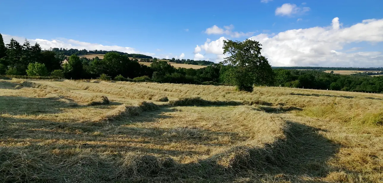 Photos 6 - Équestre - SOUS OFFRE Ancien corps de ferme idéal sur 4.95ha pour activité touristique et-ou équestre.