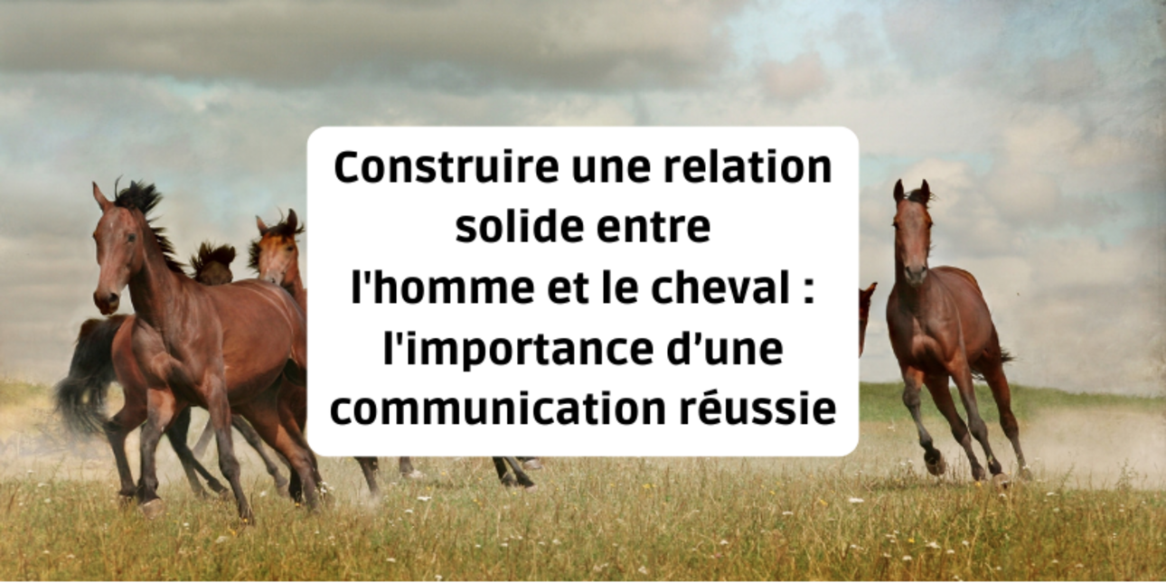 Building a solid relationship between man and horse: the importance of successful communication