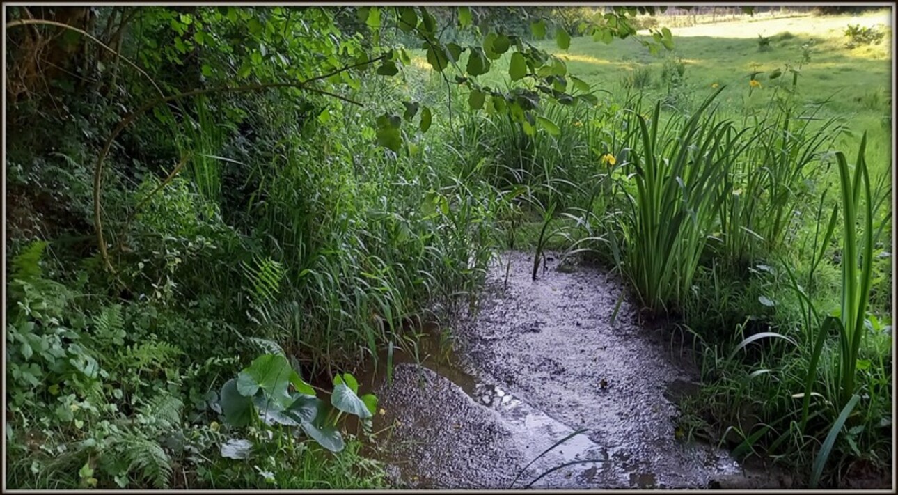 Photos 25 - Prestigious - Dpt Landes (40), for sale CAPBRETON Charming property in a quiet area.