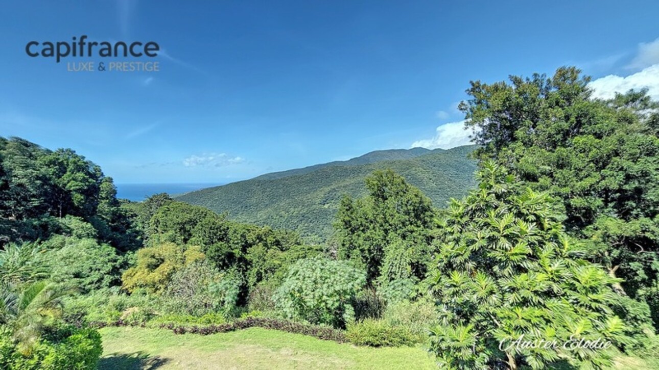 Photos 12 - Touristique - Propriété de 3 villas T3 avec piscine un T3 et deux T1 vue imprenable montagne et Mer des Caraïbes