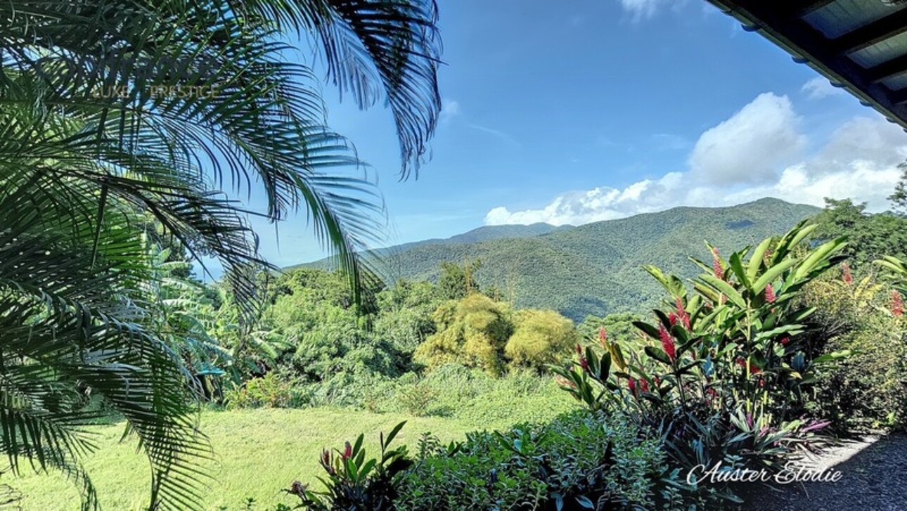 Photos 14 - Touristique - Propriété de 3 villas T3 avec piscine un T3 et deux T1 vue imprenable montagne et Mer des Caraïbes