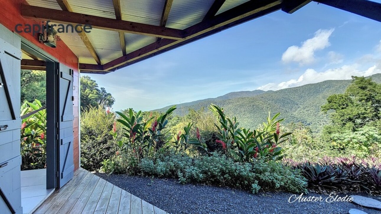 Photos 11 - Tourist - Magnificent cottages with swimming pool Caribbean Sea and Mountain views