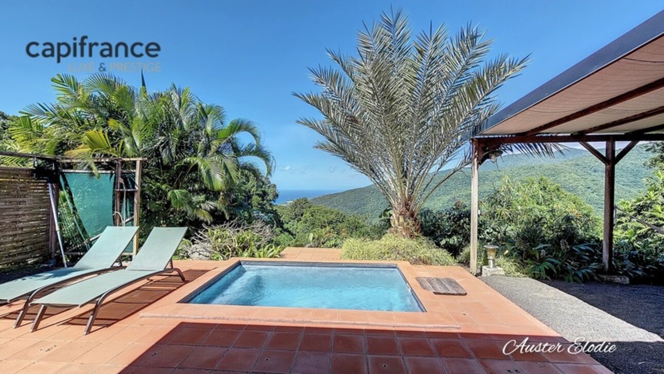 Photos 16 - Tourist - Magnificent cottages with swimming pool Caribbean Sea and Mountain views