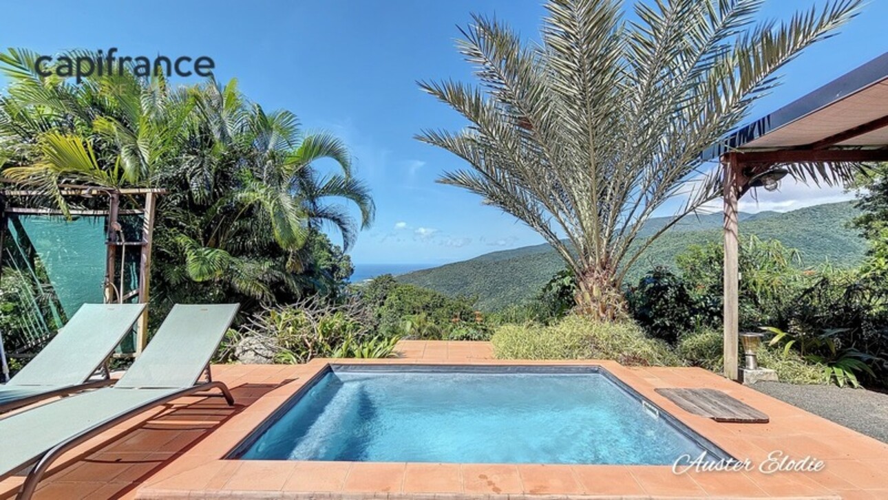 Photos 18 - Tourist - Magnificent cottages with swimming pool Caribbean Sea and Mountain views