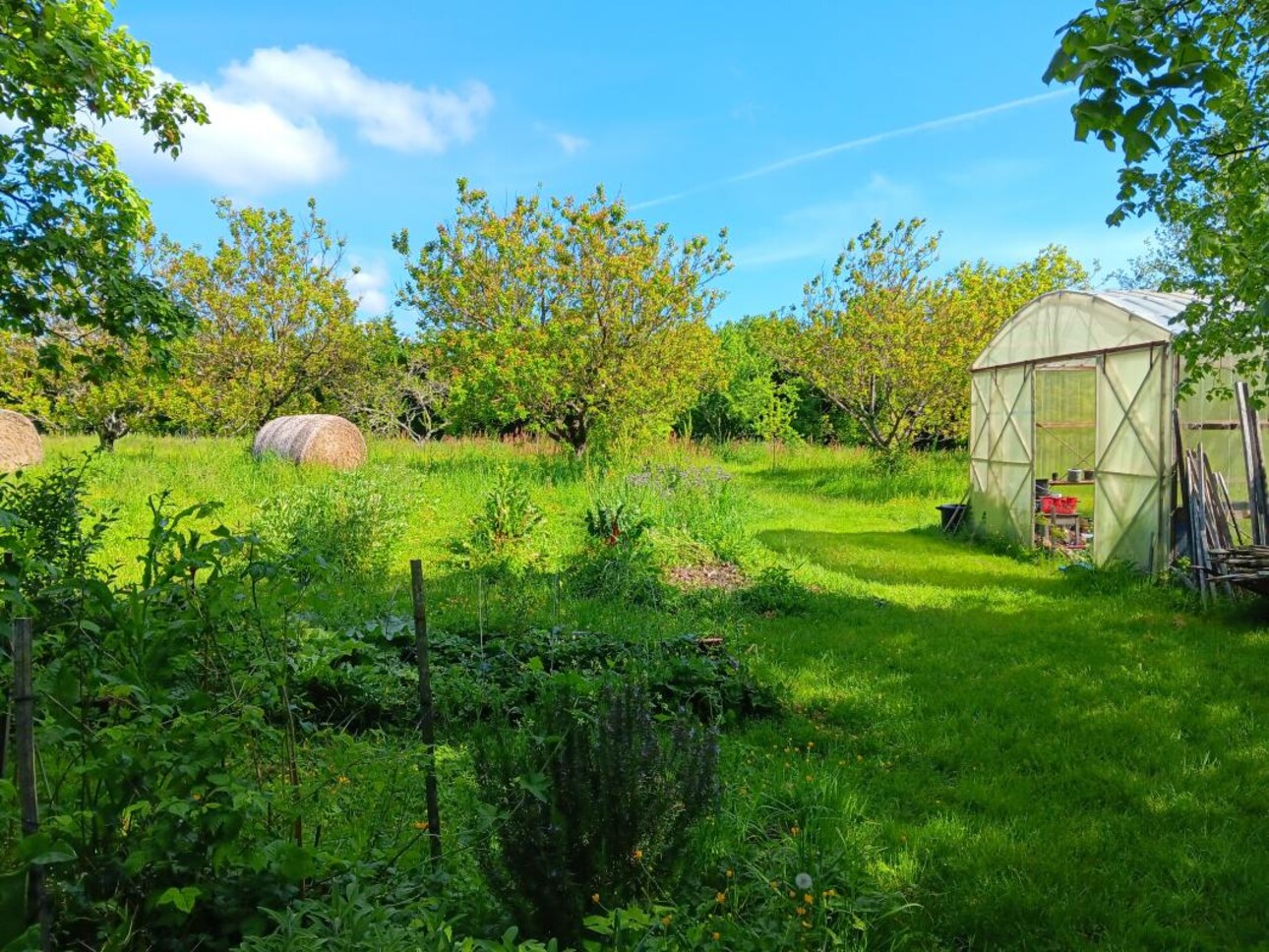 Photos 3 - Prestigious - Propriété en pierre sur près de 3 hectares