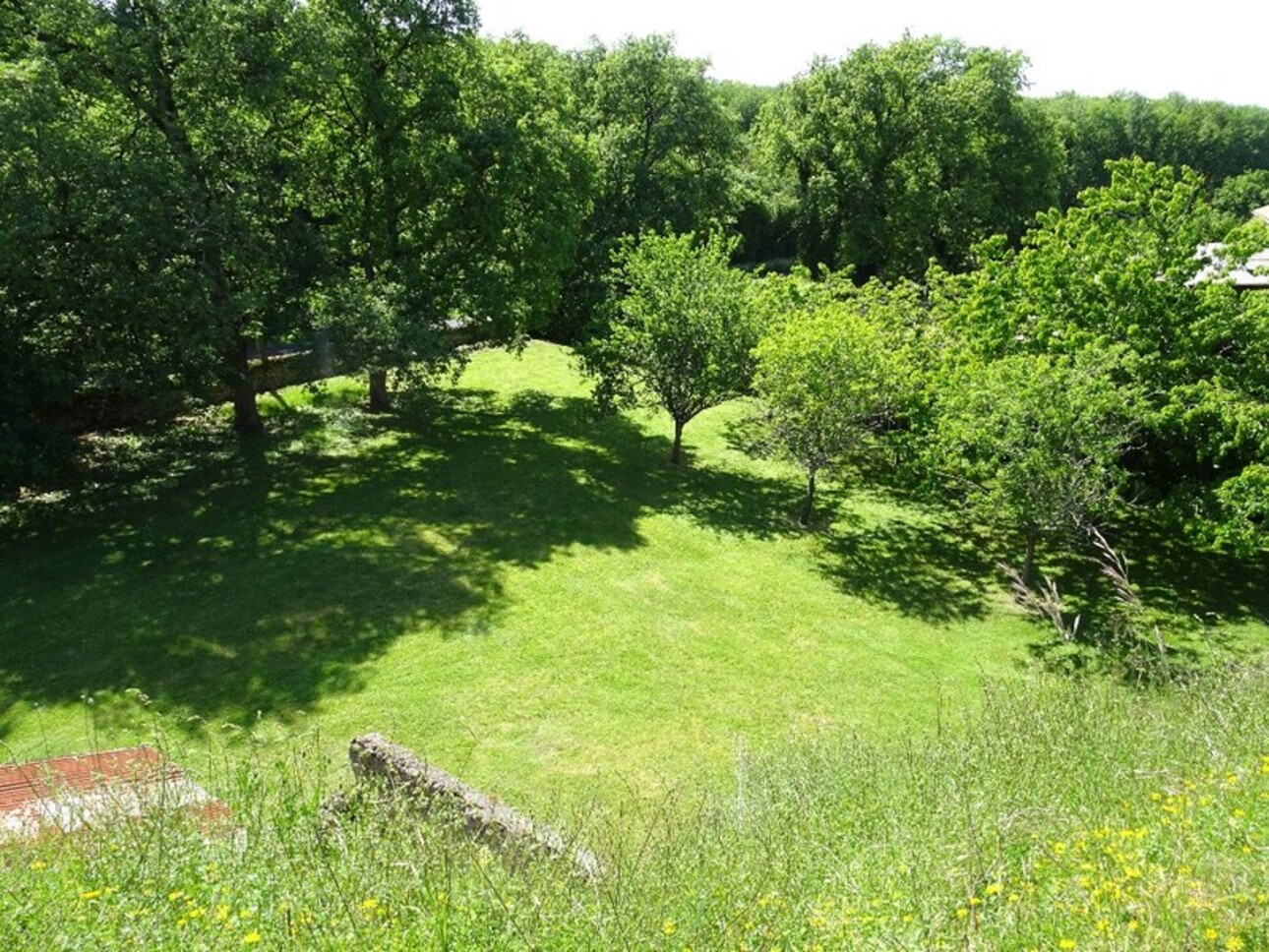 Photos 5 - Prestigious - Dpt Deux Sèvres (79), for sale near THENEZAY - PRESSIGNY: property P9 - 306 m² - land 8476 m²