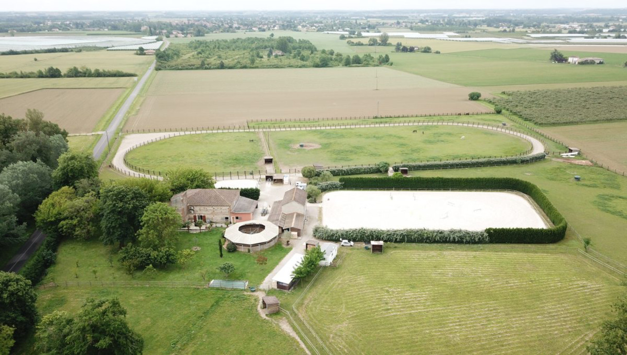 Photos 3 - Équestre - Très belle propriété équestre avec maison de maître entre TOULOUSE ET BORDEAUX