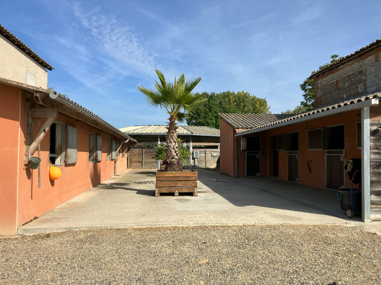 Photos 10 - Équestre - Très belle propriété équestre avec maison de maître entre TOULOUSE ET BORDEAUX