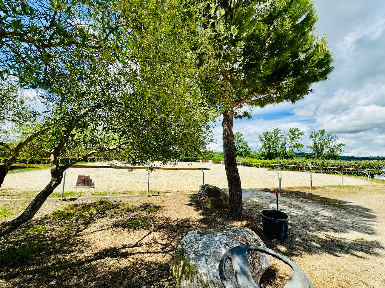 Photos 16 - Équestre - Très belle propriété équestre avec maison de maître entre TOULOUSE ET BORDEAUX