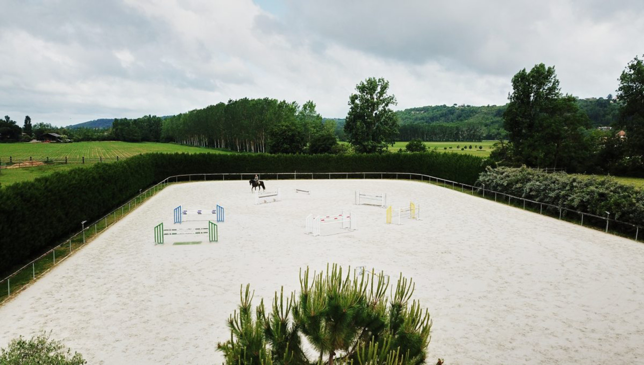 Photos 12 - Equestrian - Very beautiful equestrian property with mansion between TOULOUSE AND BORDEAUX